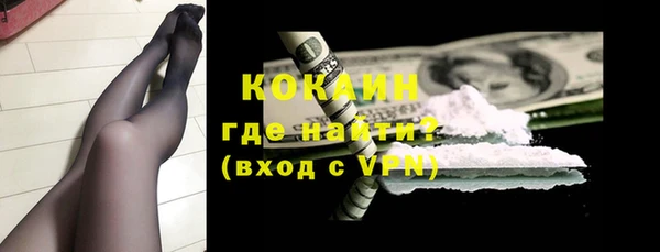 соль ск Алексин