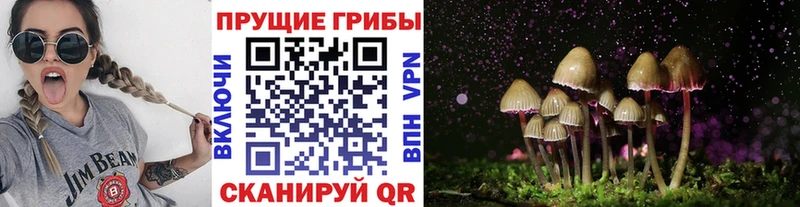 Галлюциногенные грибы GOLDEN TEACHER  даркнет сайт  Щёлкино 